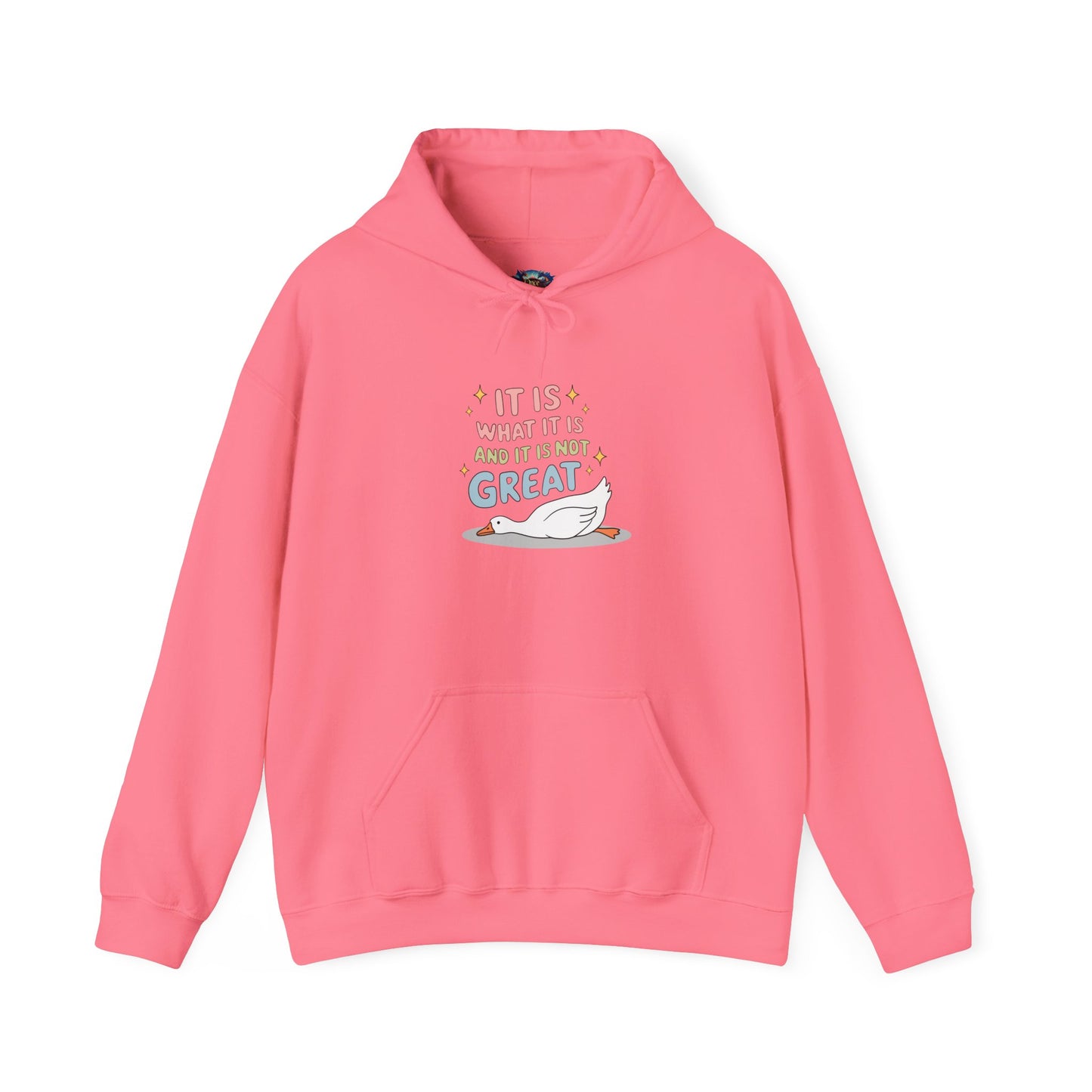 It Is What It Is (and It’s Not Great) Hooded Sweatshirt