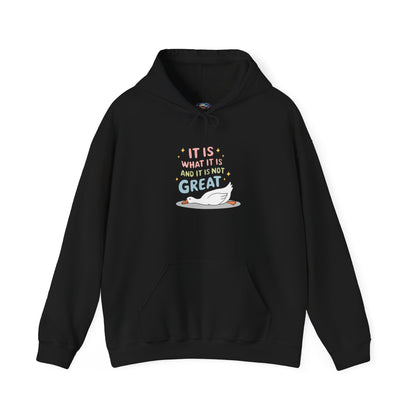 It Is What It Is (and It’s Not Great) Hooded Sweatshirt