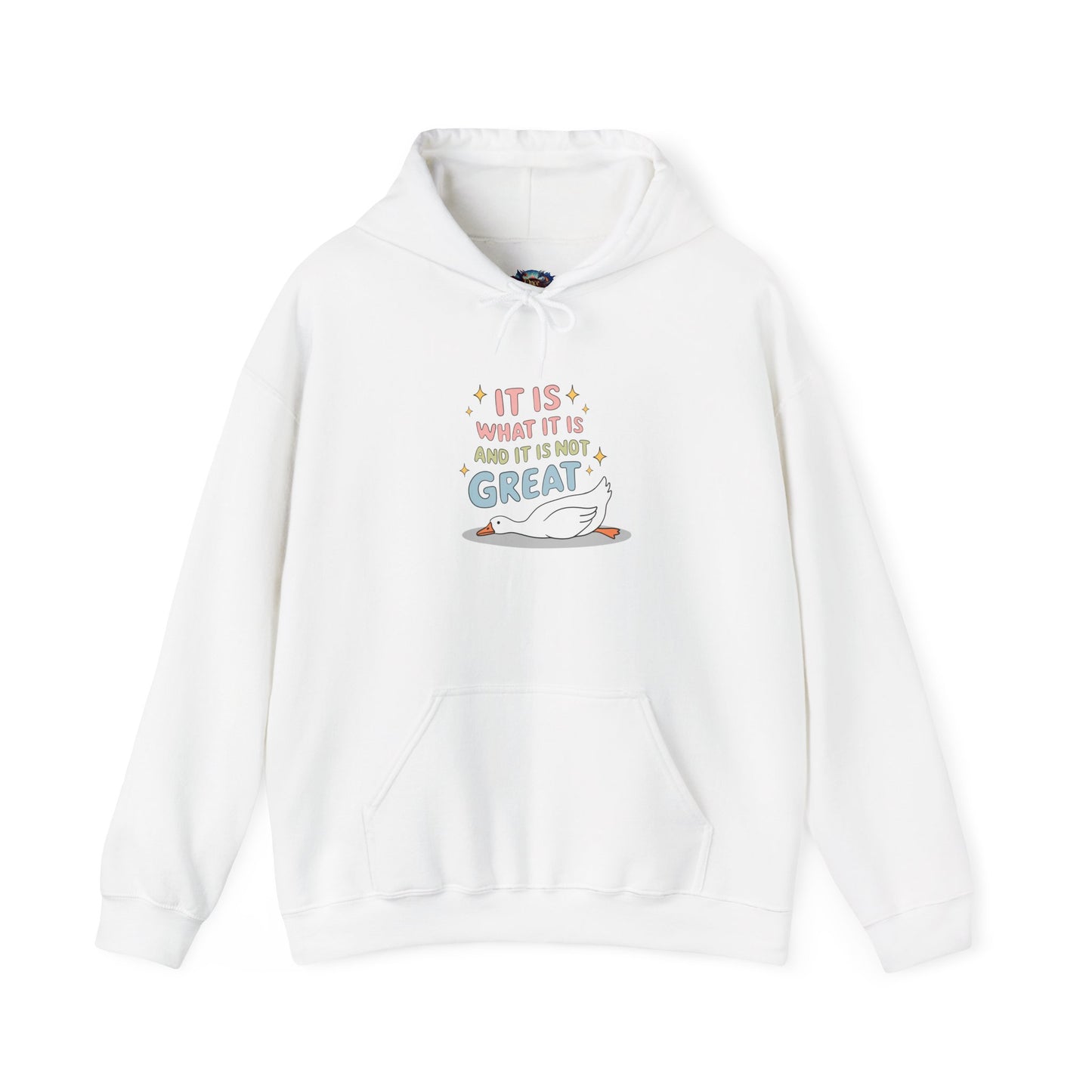 It Is What It Is (and It’s Not Great) Hooded Sweatshirt